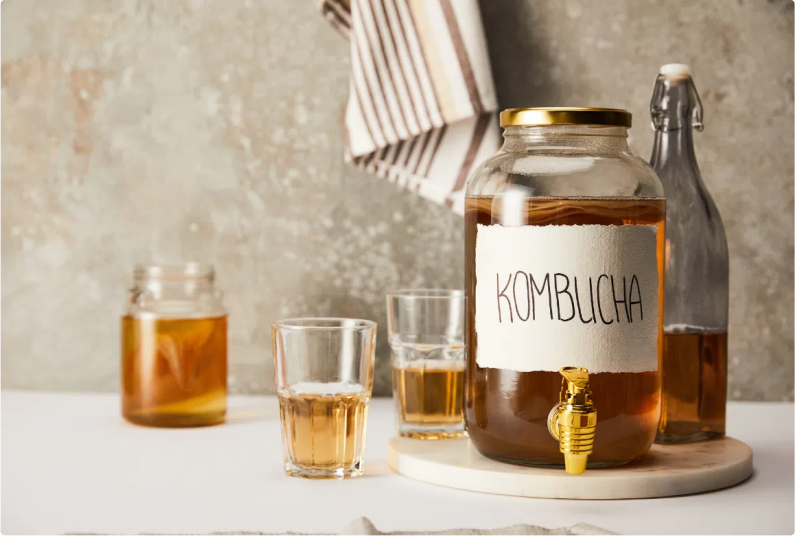Lợi khuẩn Kombucha: Bí quyết đơn giản để trẻ lâu Lợi khuẩn Kombucha: Bí quyết đơn giản để trẻ lâu